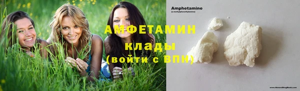 прущие грибы Белокуриха