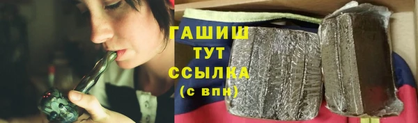 прущие грибы Белокуриха