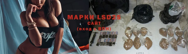 прущие грибы Белокуриха