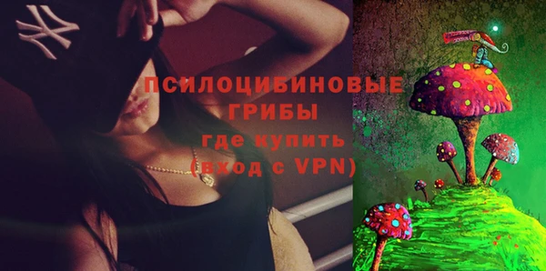прущие грибы Белокуриха