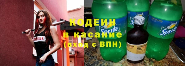 прущие грибы Белокуриха