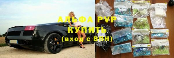 прущие грибы Белокуриха