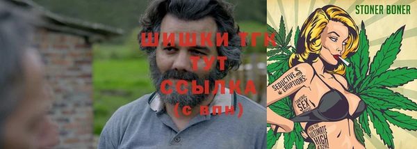 прущие грибы Белокуриха