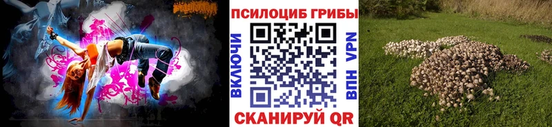 хочу   Волгореченск  Галлюциногенные грибы Cubensis 